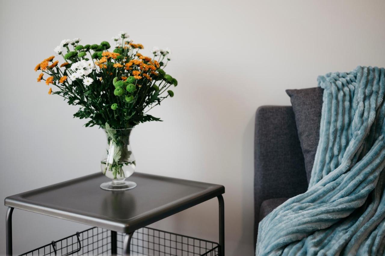 Nocosfera Apartament Serbinow Kaliszki Dış mekan fotoğraf