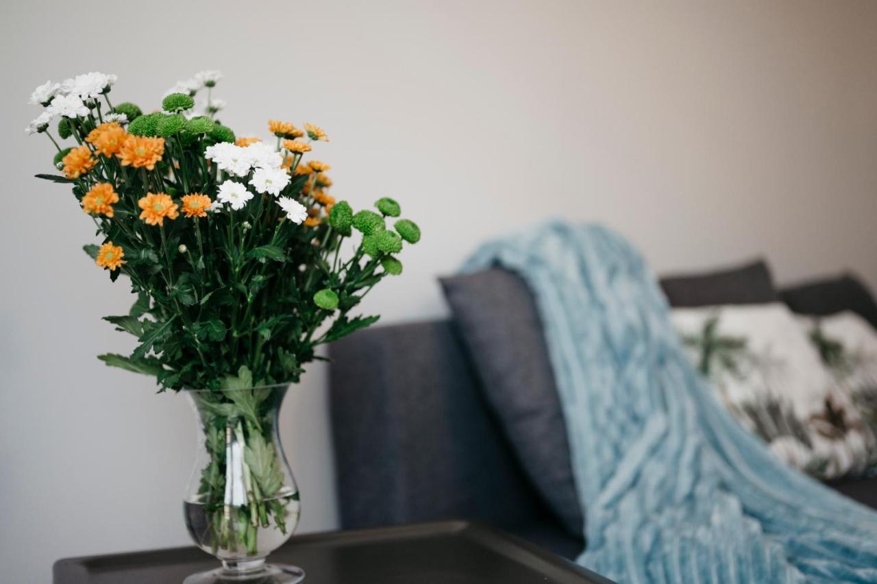 Nocosfera Apartament Serbinow Kaliszki Dış mekan fotoğraf